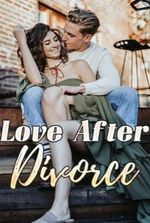 Love after Divorce novel (Violet Elliott)