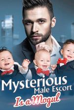 Mysterious Male Escort Is a Mogul